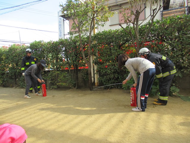 IMG_25323333333